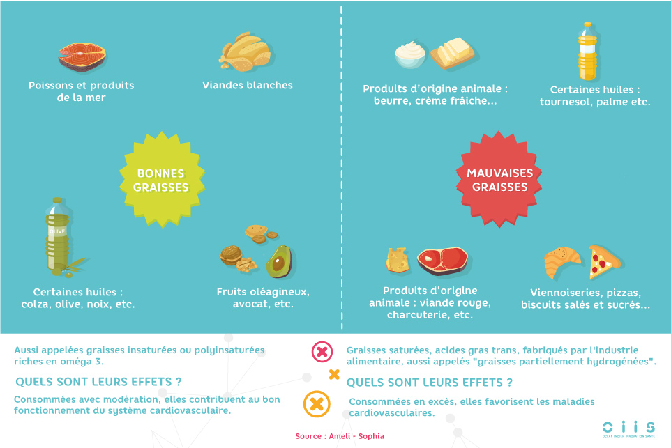 Infographie sur les bonnes et mauvaises graisses