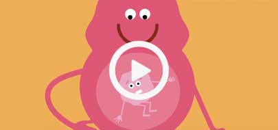 Un personnage rose enceinte regarde son bébé à travers son ventre
