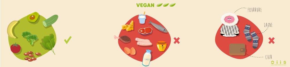 Assiettes vegan : concombre, banane, brocolis