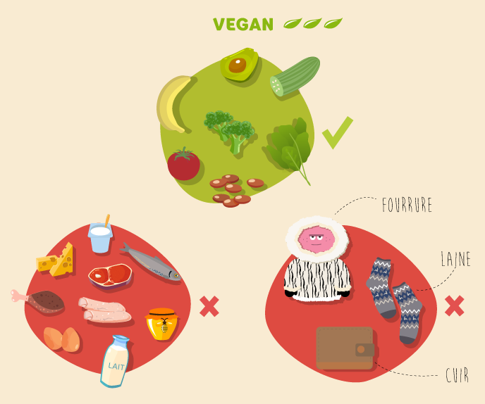 Assiettes vegan : concombre, banane, brocolis