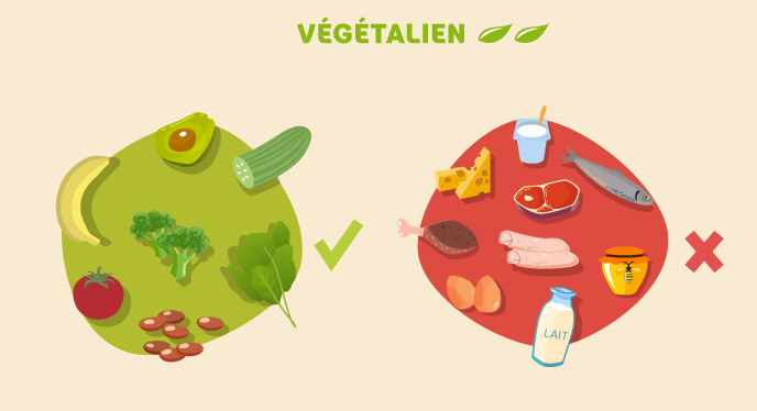 Une assiette végétalienne :  avocat, salade, pommes de terre