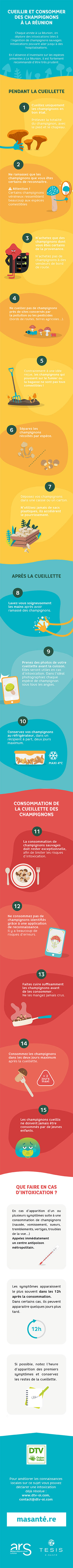Infographie Champignons Sauvages à la Réunion. Cueillette et consommation